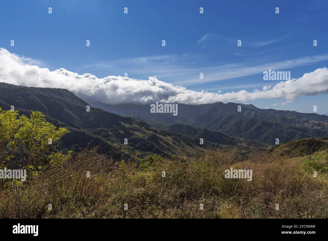 Paysage réserve forestière nuageuse de Monteverde, Costa Rica, Amérique centrale Banque D'Images