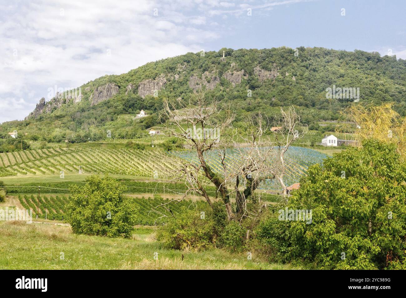 Croix de pierre sur le cône de basalte de Badacsony au-dessus de petits vignobles, Hongrie, Europe Banque D'Images