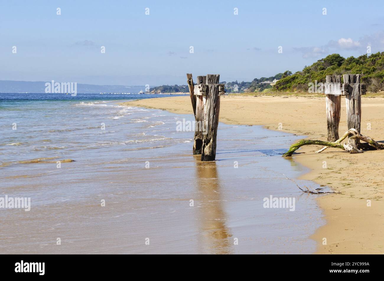 Restes d'une ancienne jetée de bétail à point Nepean, Portsea, Victoria, Australie, Océanie Banque D'Images