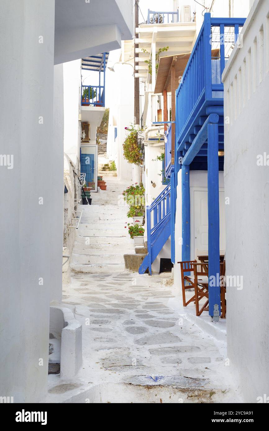 Rues blanches de la ville de Mykonos sur la célèbre île de Mykonos. Blanc et bleu, combinaison de grrek et plantes vertes en pot Banque D'Images