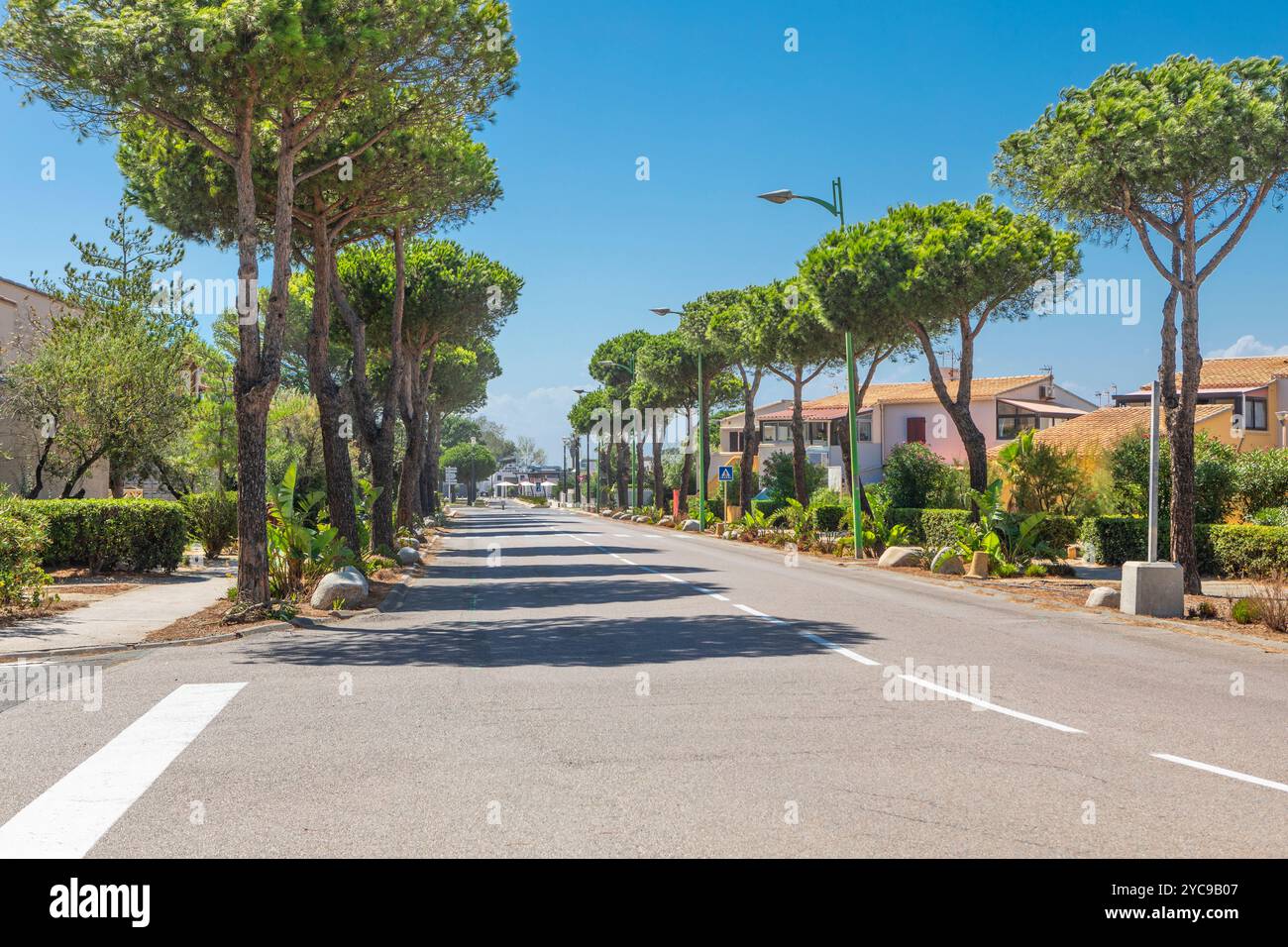 Une avenue déserte bordée d'arbres à le Barcares, Sud de la France Banque D'Images