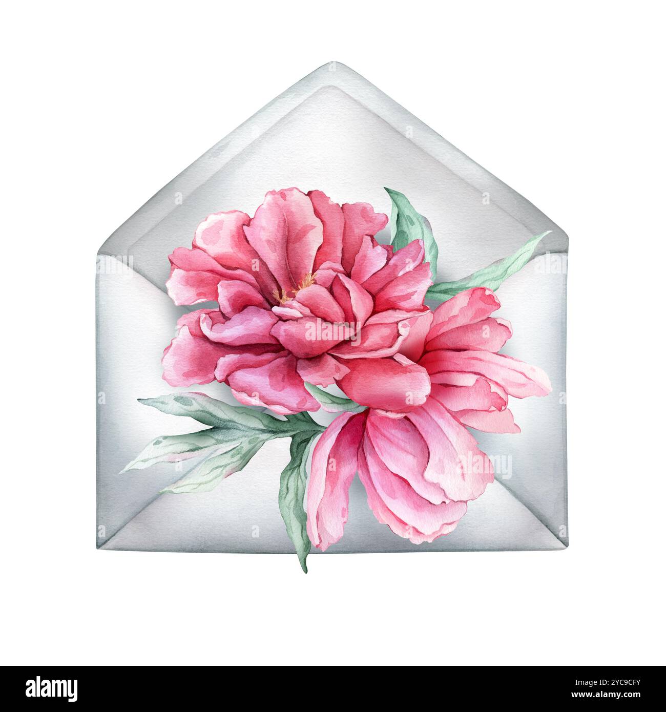 Enveloppe vintage grise ouverte avec des fleurs de pivoine rose en pleine floraison isolée sur un fond blanc. Illustrations d'aquarelle dessinées à la main Summer Botanical Banque D'Images