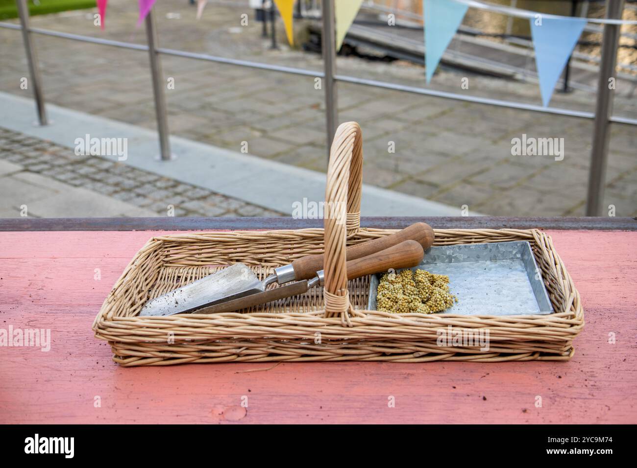 Une pelle de jardinage de style classique et une truelle dans un panier de jardinage sur un fond rose dans un jardin Banque D'Images