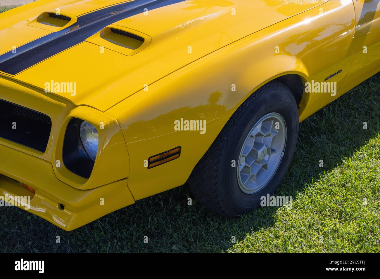 Jaune immaculé pontiac Firebird TRANS AM brille sous le soleil d'été Banque D'Images