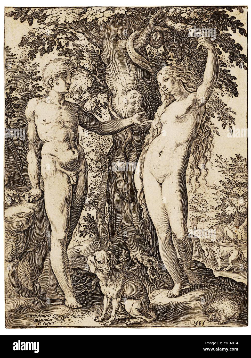 Adam et Eve, estampe, Hendrick Goltzius, d'après Bartholomeus Spranger, 1585 Banque D'Images