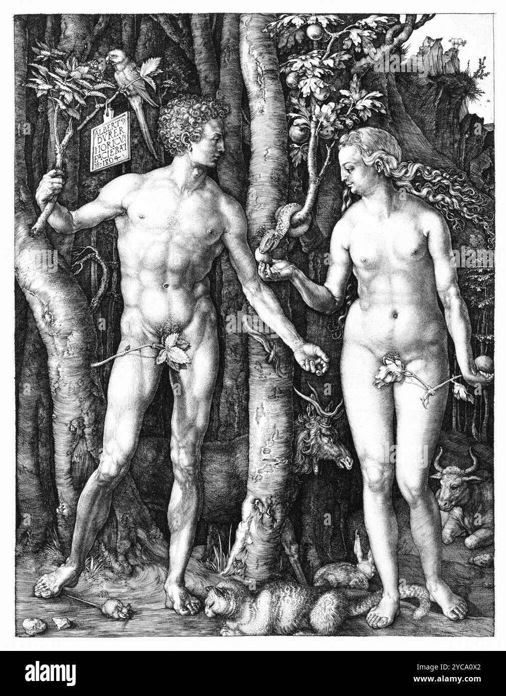 Albrecht Dürer, Adam and Eve, 1504, gravure - Art religieux - Adam et Eve debout de chaque côté de l'arbre de la connaissance avec le serpent - couleur corrigée Banque D'Images
