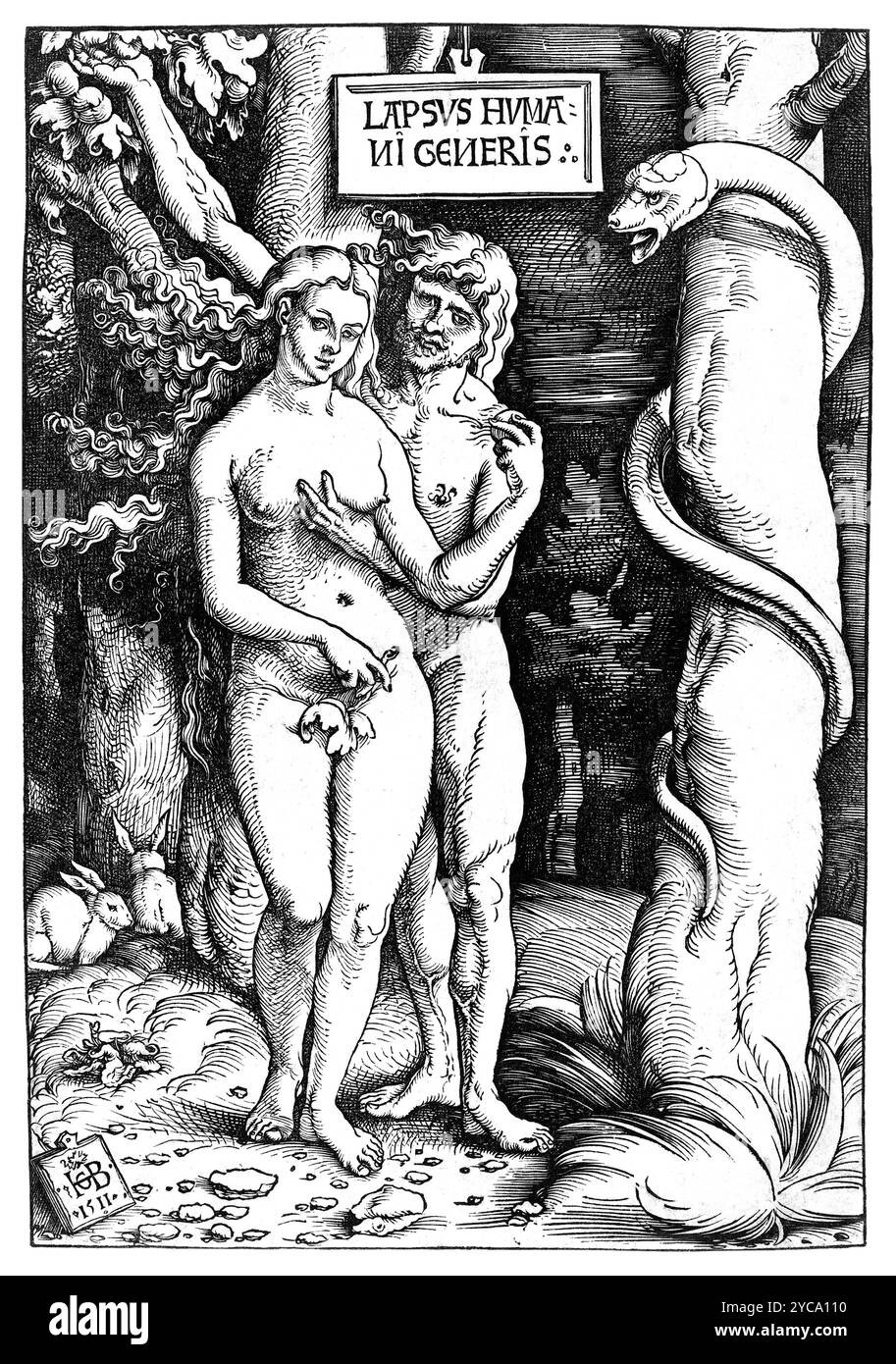 Hans Baldung Grien, Adam et Eve, 1511 - couleur corrigée Banque D'Images