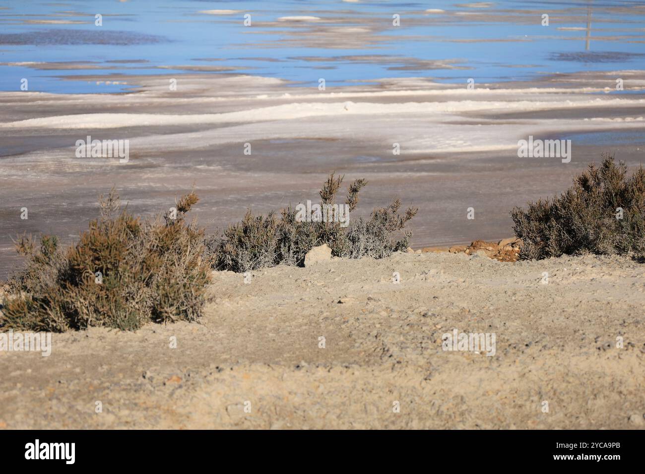 Beau paysage de salines dans le parc naturel de la ville de Santa Pola, Alicante, Espagne Banque D'Images