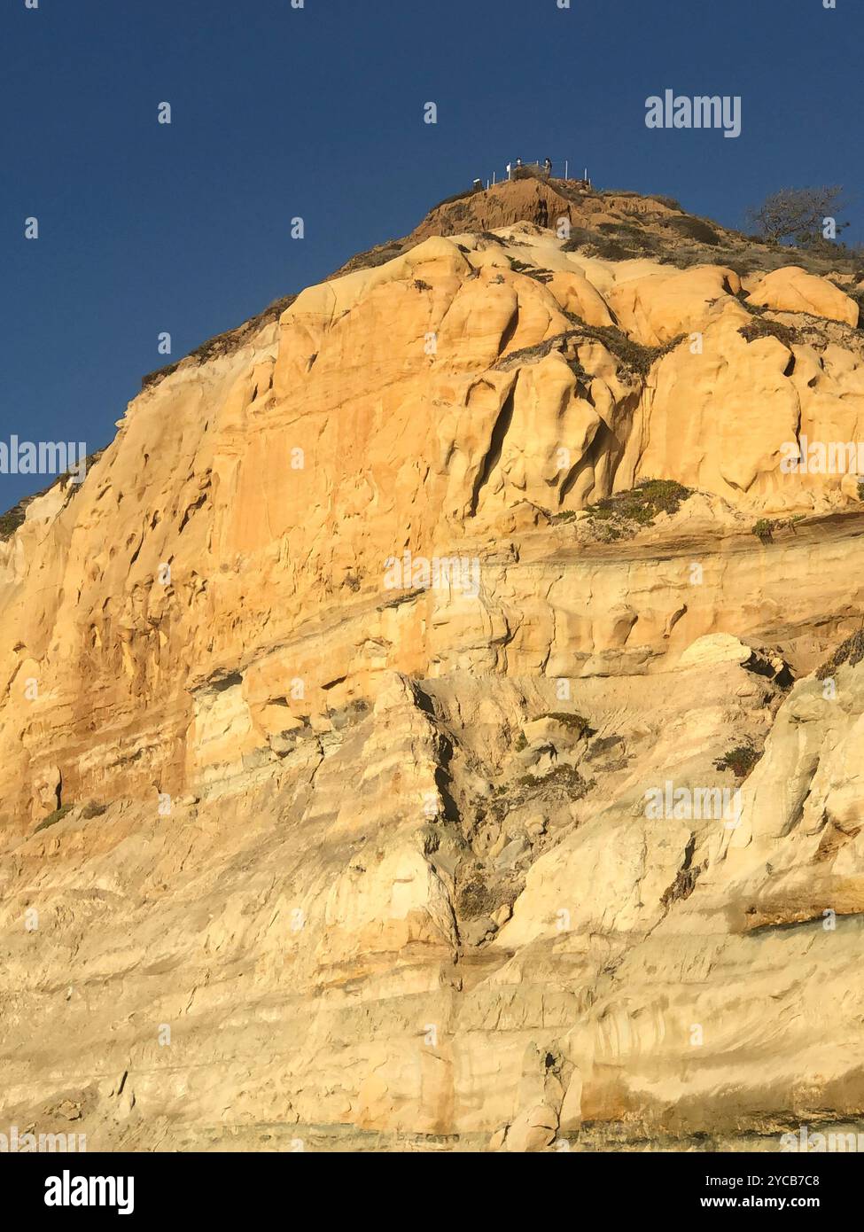 Réserve naturelle de Torrey Pines, San Diego, Californie. Surf et pagaie à marée haute dans la réserve naturelle de Torrey Pines en Californie i. Banque D'Images