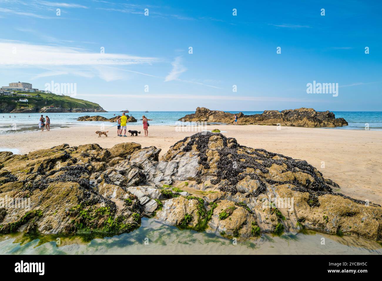 Vacanciers visiteurs se relaxant sur GT Great Western Beach à marée basse à Newquay en Cornouailles au Royaume-Uni. Banque D'Images