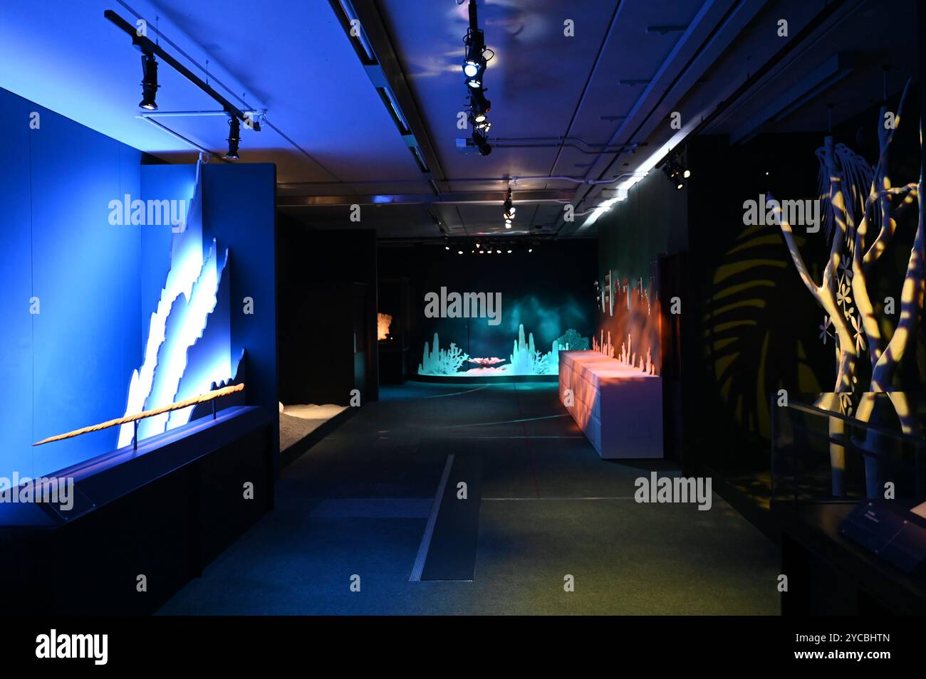 Visions of nature est une nouvelle expérience de réalité mixte hébergée au Musée qui transporte le public 100 ans dans le futur pour voir comment le monde naturel a répondu aux actions que nous menons aujourd'hui les visiteurs porteront des casques de réalité mixte Microsoft à la pointe de la technologie dans cette expérience immersive, qui a été créée dans un partenariat entre le Musée d'histoire naturelle, Microsoft et SAOLA Studio visions of nature ouvre jeudi 24 octobre 2024 ... Banque D'Images