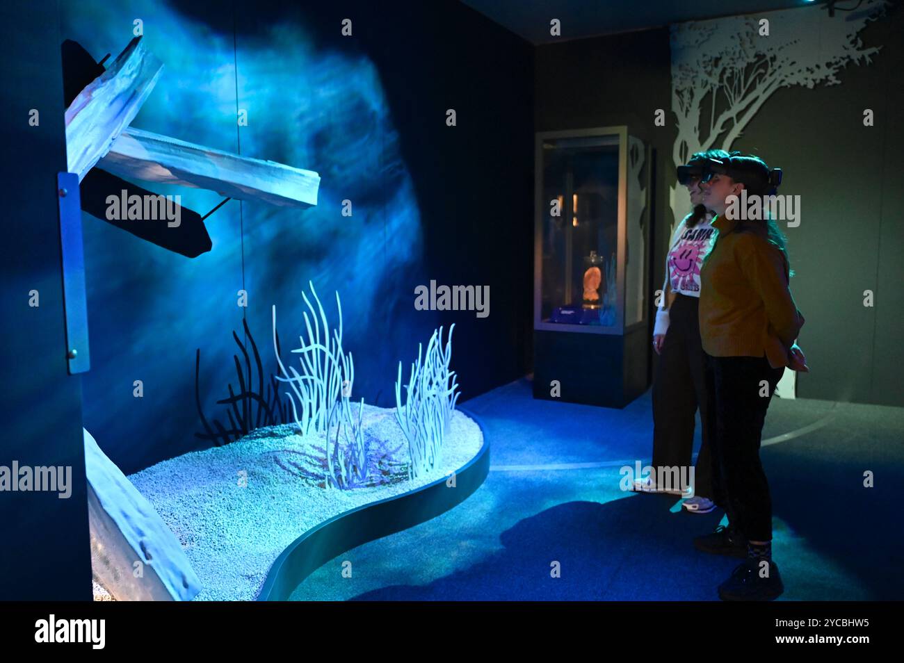 Visions of nature est une nouvelle expérience de réalité mixte hébergée au Musée qui transporte le public 100 ans dans le futur pour voir comment le monde naturel a répondu aux actions que nous menons aujourd'hui les visiteurs porteront des casques de réalité mixte Microsoft à la pointe de la technologie dans cette expérience immersive, qui a été créée dans un partenariat entre le Musée d'histoire naturelle, Microsoft et SAOLA Studio visions of nature ouvre jeudi 24 octobre 2024 ... Banque D'Images