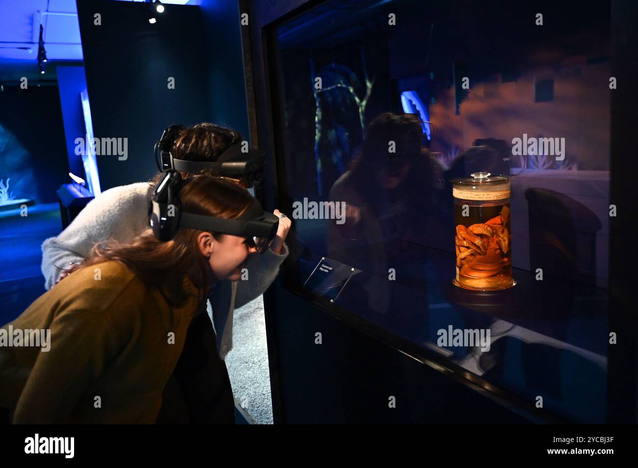 Visions of nature est une nouvelle expérience de réalité mixte hébergée au Musée qui transporte le public 100 ans dans le futur pour voir comment le monde naturel a répondu aux actions que nous menons aujourd'hui les visiteurs porteront des casques de réalité mixte Microsoft à la pointe de la technologie dans cette expérience immersive, qui a été créée dans un partenariat entre le Musée d'histoire naturelle, Microsoft et SAOLA Studio visions of nature ouvre jeudi 24 octobre 2024 ... Banque D'Images