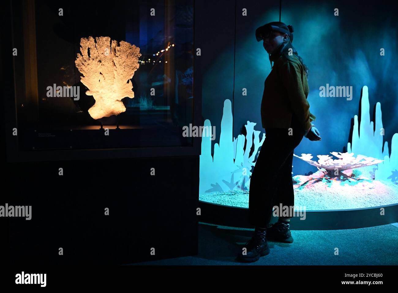 Visions of nature est une nouvelle expérience de réalité mixte hébergée au Musée qui transporte le public 100 ans dans le futur pour voir comment le monde naturel a répondu aux actions que nous menons aujourd'hui les visiteurs porteront des casques de réalité mixte Microsoft à la pointe de la technologie dans cette expérience immersive, qui a été créée dans un partenariat entre le Musée d'histoire naturelle, Microsoft et SAOLA Studio visions of nature ouvre jeudi 24 octobre 2024 ... Banque D'Images