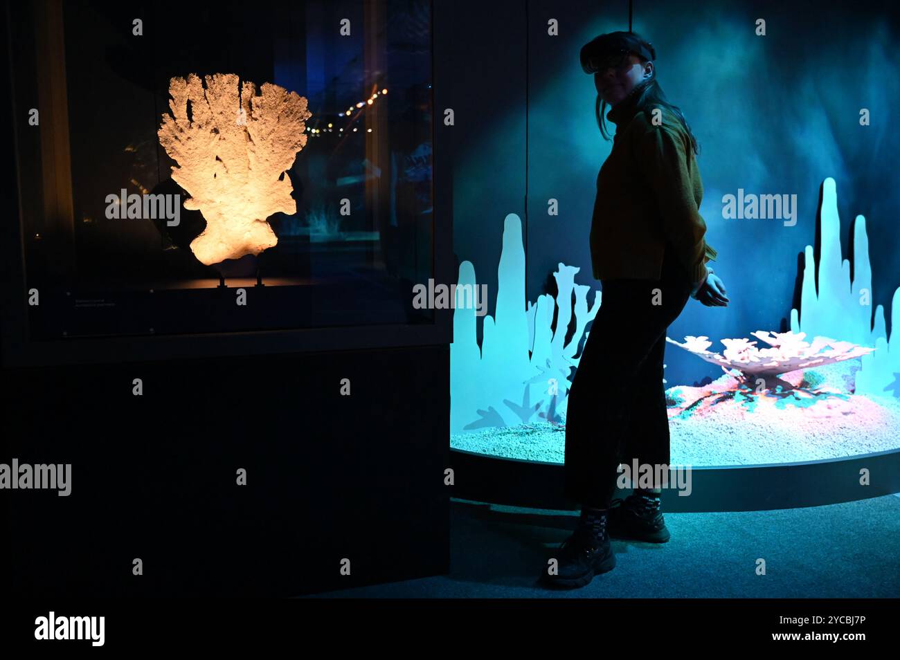Visions of nature est une nouvelle expérience de réalité mixte hébergée au Musée qui transporte le public 100 ans dans le futur pour voir comment le monde naturel a répondu aux actions que nous menons aujourd'hui les visiteurs porteront des casques de réalité mixte Microsoft à la pointe de la technologie dans cette expérience immersive, qui a été créée dans un partenariat entre le Musée d'histoire naturelle, Microsoft et SAOLA Studio visions of nature ouvre jeudi 24 octobre 2024 ... Banque D'Images