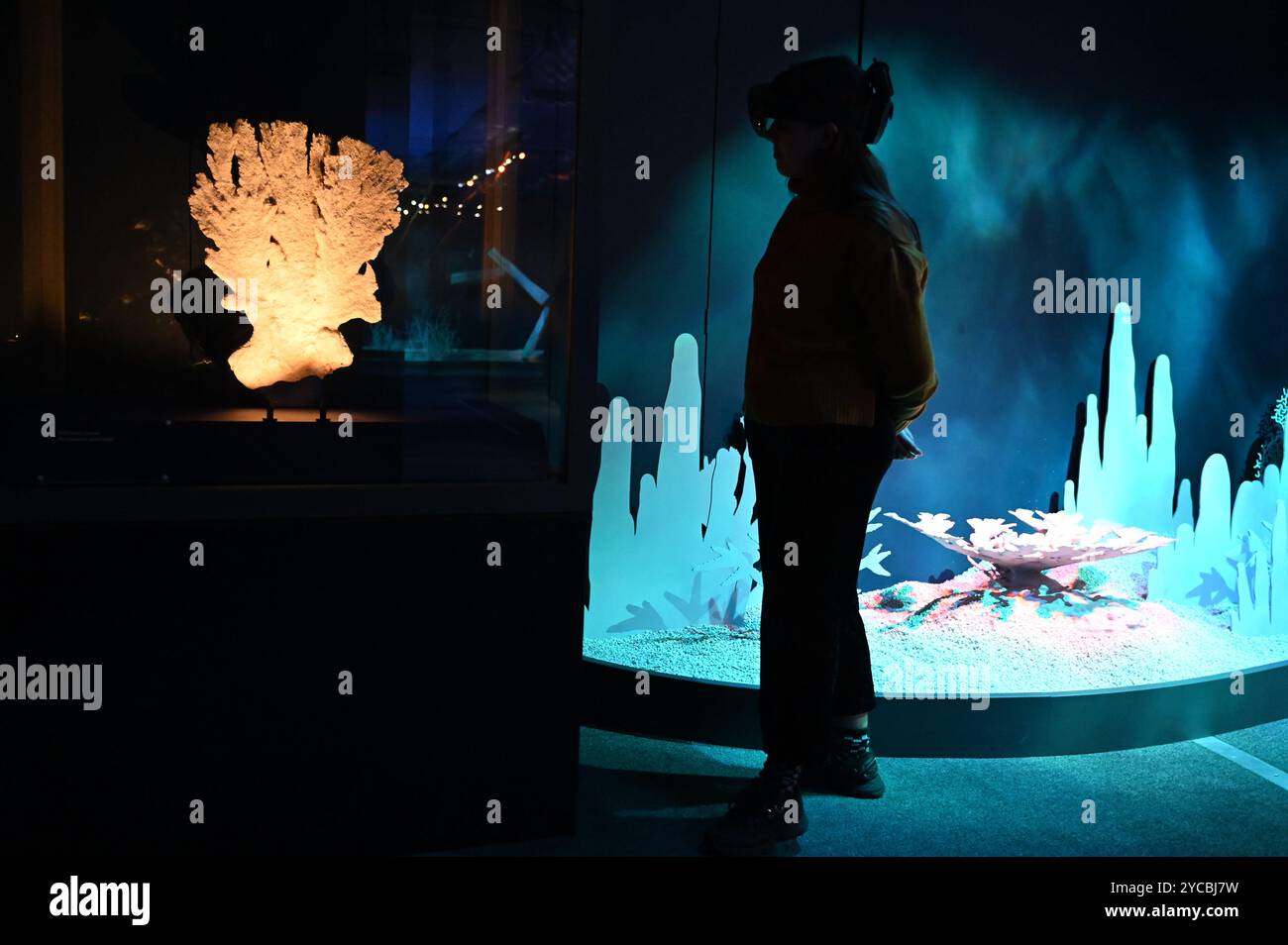 Visions of nature est une nouvelle expérience de réalité mixte hébergée au Musée qui transporte le public 100 ans dans le futur pour voir comment le monde naturel a répondu aux actions que nous menons aujourd'hui les visiteurs porteront des casques de réalité mixte Microsoft à la pointe de la technologie dans cette expérience immersive, qui a été créée dans un partenariat entre le Musée d'histoire naturelle, Microsoft et SAOLA Studio visions of nature ouvre jeudi 24 octobre 2024 ... Banque D'Images