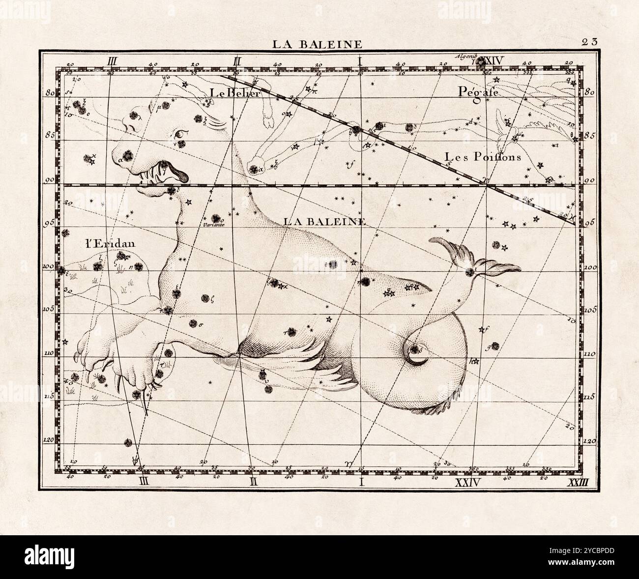 Illustration de constellation vintage du début du XVIIIe siècle. Une carte céleste détaillée mettant en valeur les étoiles et les constellations, magnifiquement rendue Banque D'Images