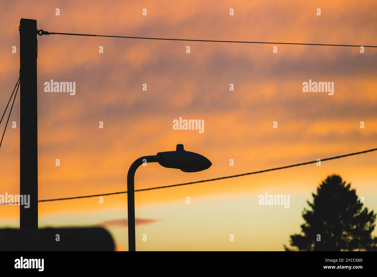 Ciel orange, lampadaire, poteau télégraphique, lignes télégraphiques, cime des arbres Banque D'Images