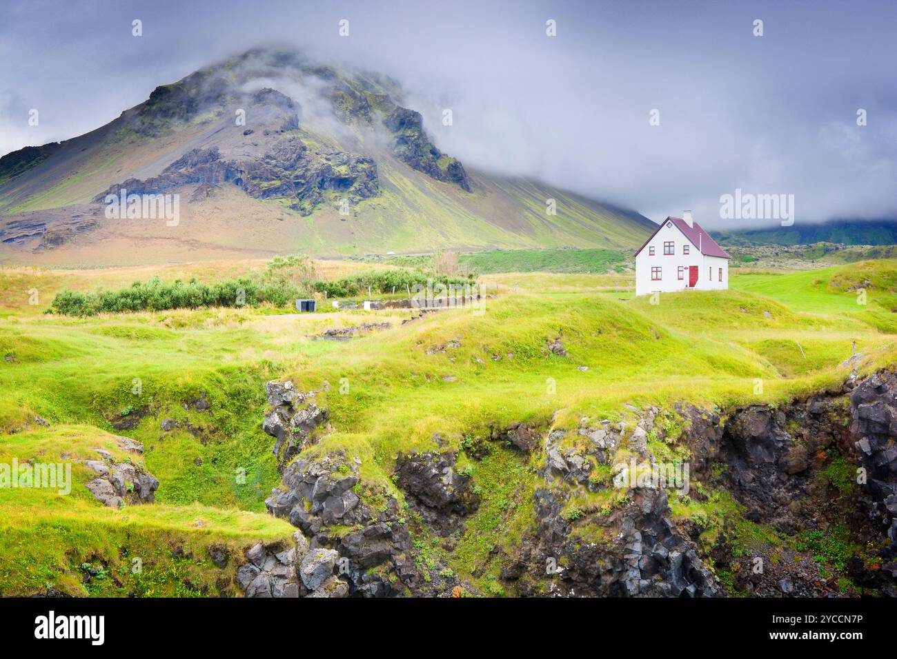 Côte rocheuse d'Arnarstapi, Islande Banque D'Images