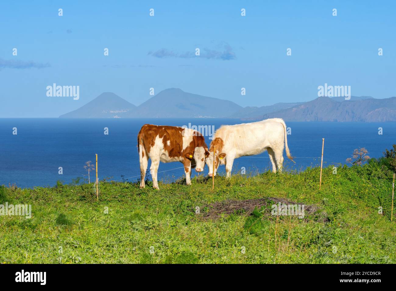 Zone archéologique de ​​Tindari, Tindari, Patti, Messine, Sicile, Italie Banque D'Images