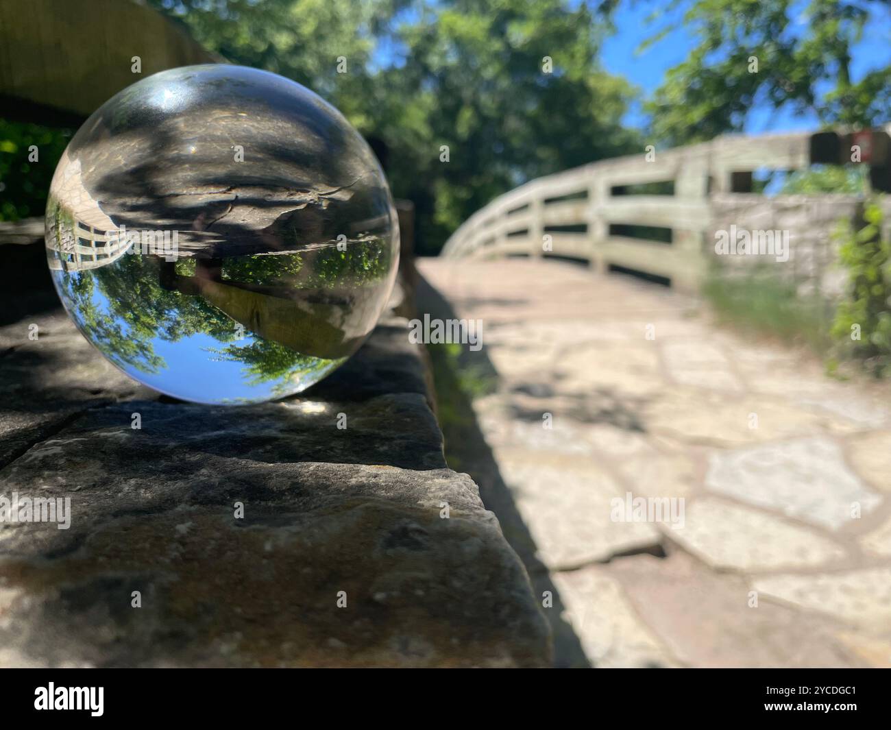 Boule de cristal sur un pont en bois inverse la réalité. Arbres et ciel se reflètent en parfaite symétrie, brouillant la ligne entre la terre et le ciel. - Image de stock capturée avec un smartphone