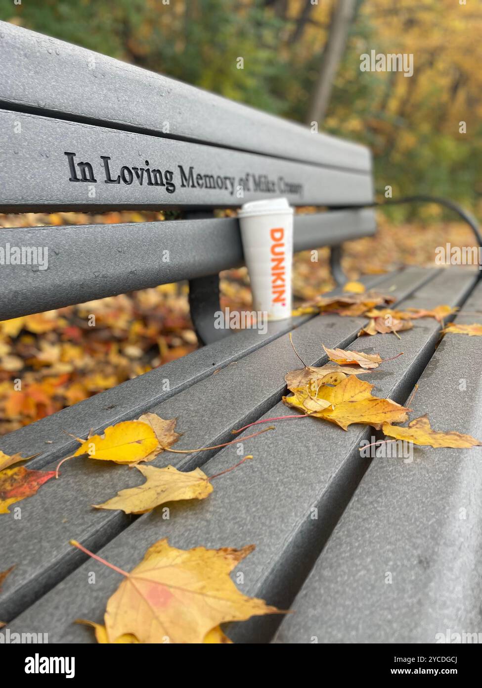 Plainfield, il, États-Unis. Des feuilles d'érable dorées se dispersent sur un banc commémoratif un jour d'automne, tandis qu'une coupe Dunkin' solitaire repose à côté de la dédicace gravée. - Image de stock capturée avec un smartphone