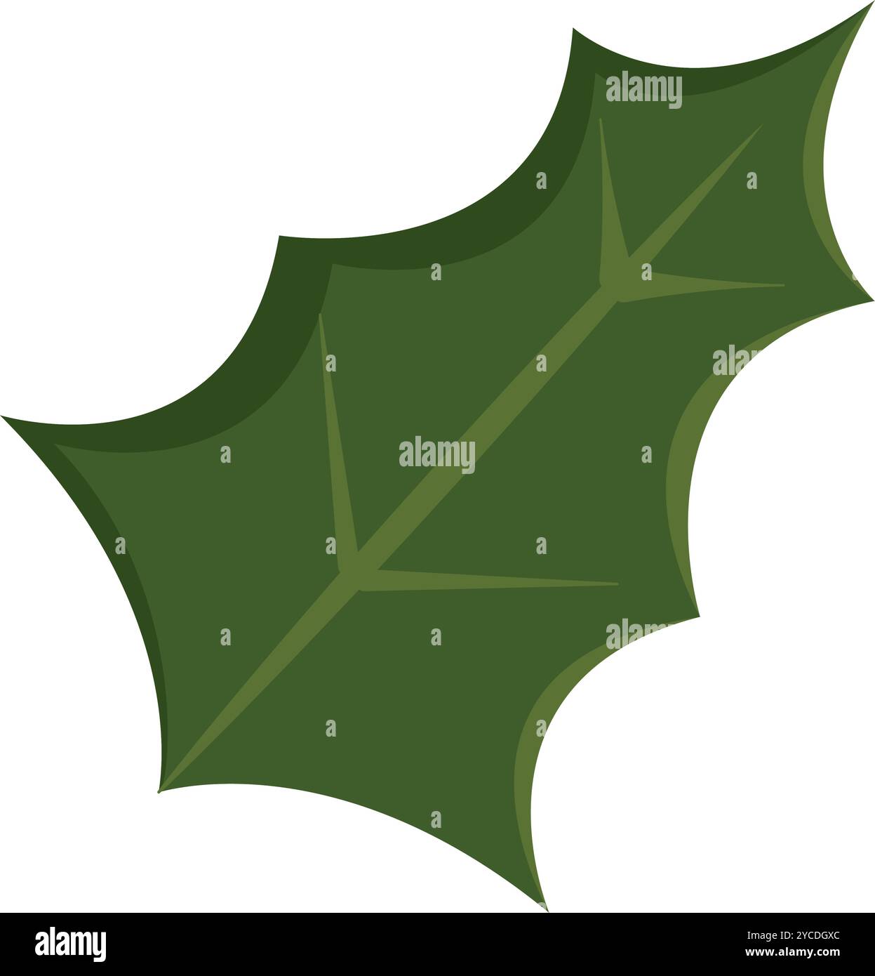 Vecteur d'icône de feuille de houx coloré de noël Illustration de Vecteur