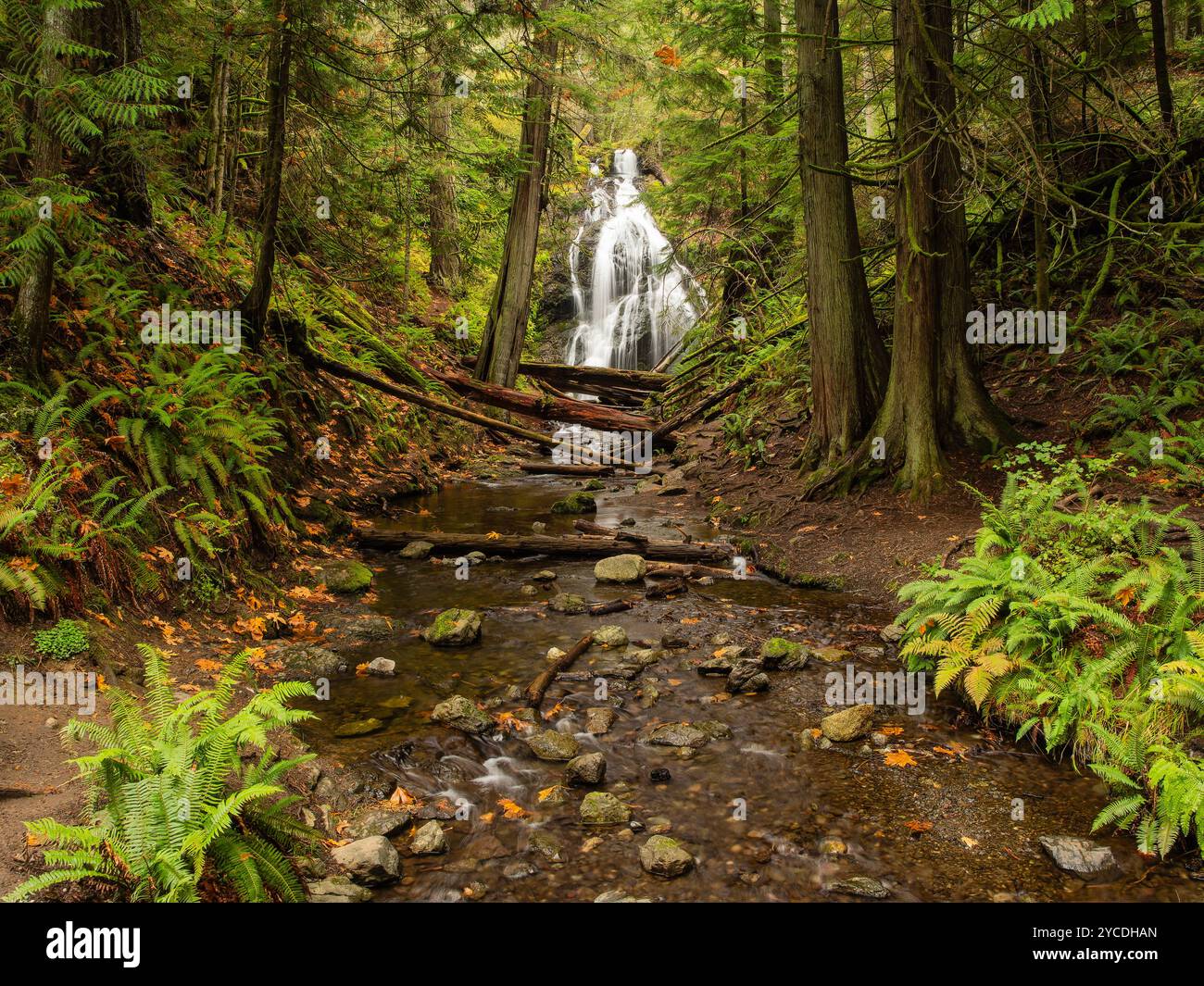 Cascade Falls dans le Moran State Park sur Orcas Island dans l'État de Washington. Banque D'Images
