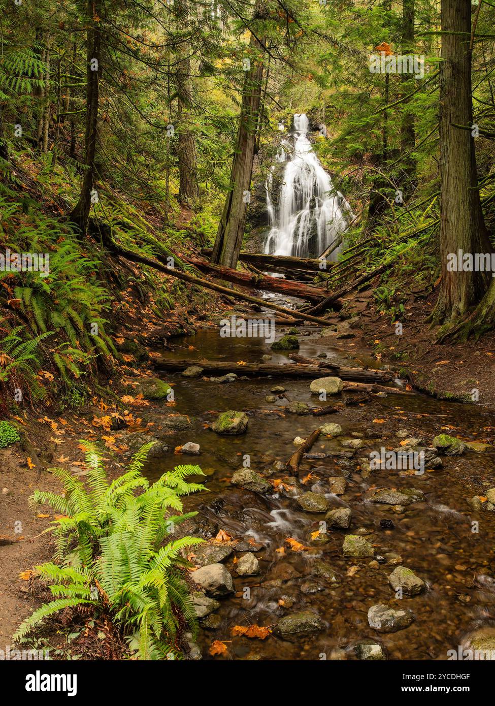 Cascade Falls dans le Moran State Park sur Orcas Island dans l'État de Washington. Banque D'Images