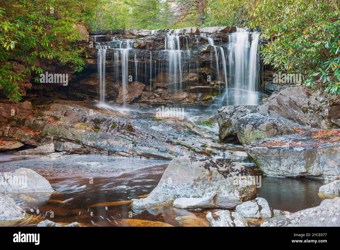 Big Run Falls le long de la rivière Big Run dans le comté de Tucker. Douglas. Virginie occidentale. ÉTATS-UNIS Banque D'Images