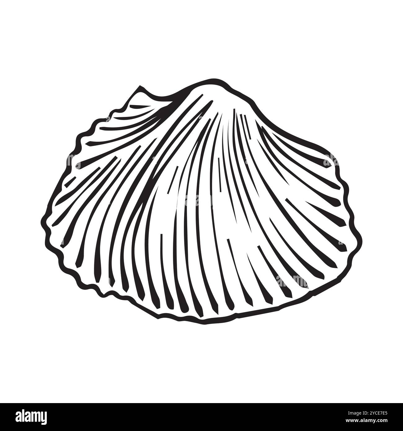 Vecteur Seashell. Illustration dessinée à la main de Sea Shell sur fond isolé. Dessin de crête sur le style de contour. Croquis de Cockleshell peint par Illustration de Vecteur