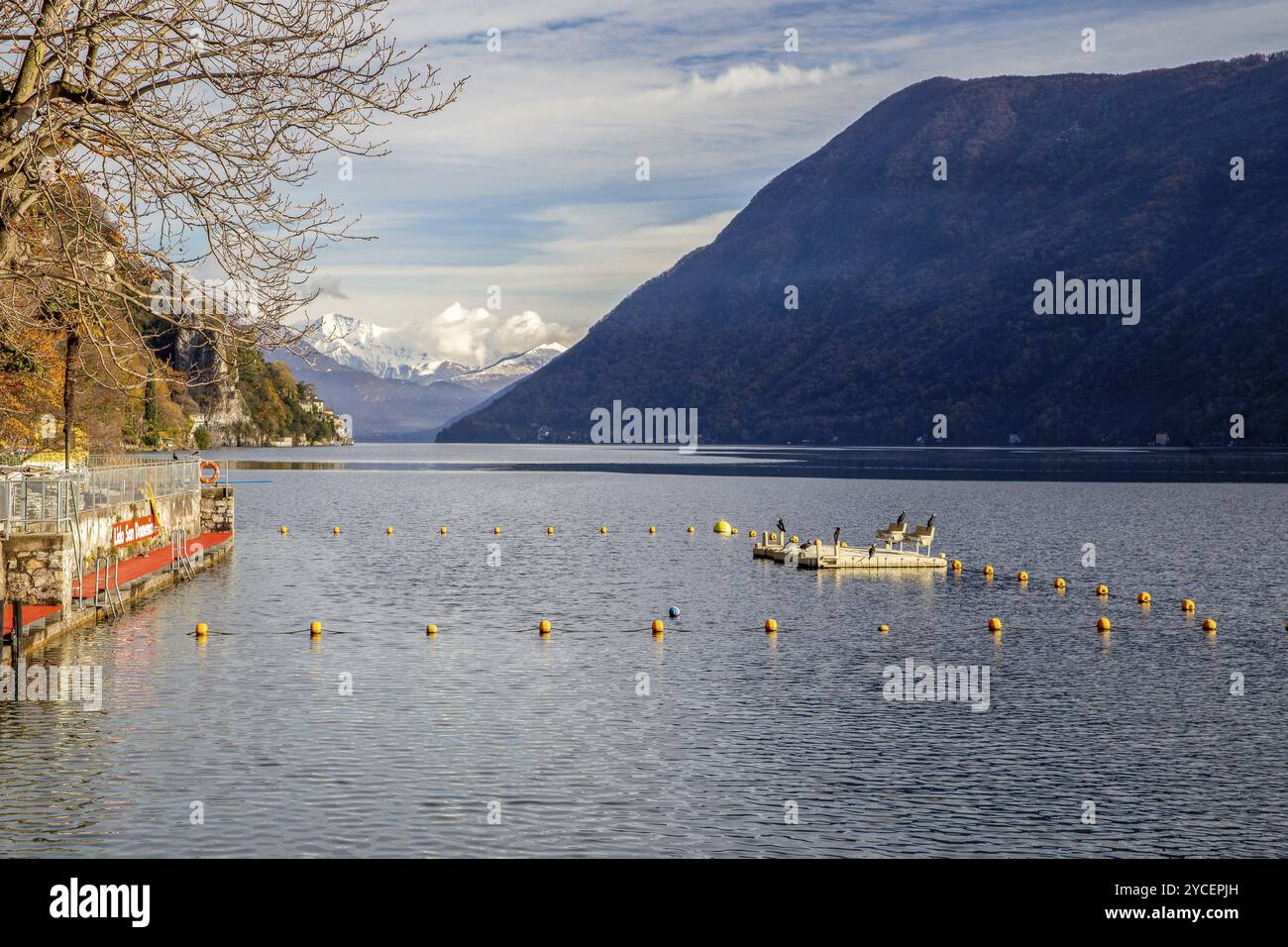 Vue imprenable sur les Alpes européennes de Lugano (sentier des oliviers) et l'eau du lac de Lugano et des canards noirs Banque D'Images