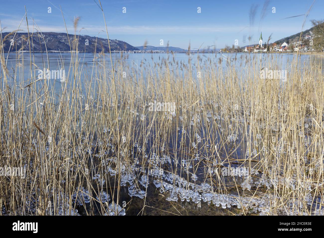 Vue sur un lac gelé avec des roseaux au premier plan, entouré de montagnes sous un ciel bleu, Sipplingen, lac de Constance, Bade-Wuerttemberg, allemand Banque D'Images