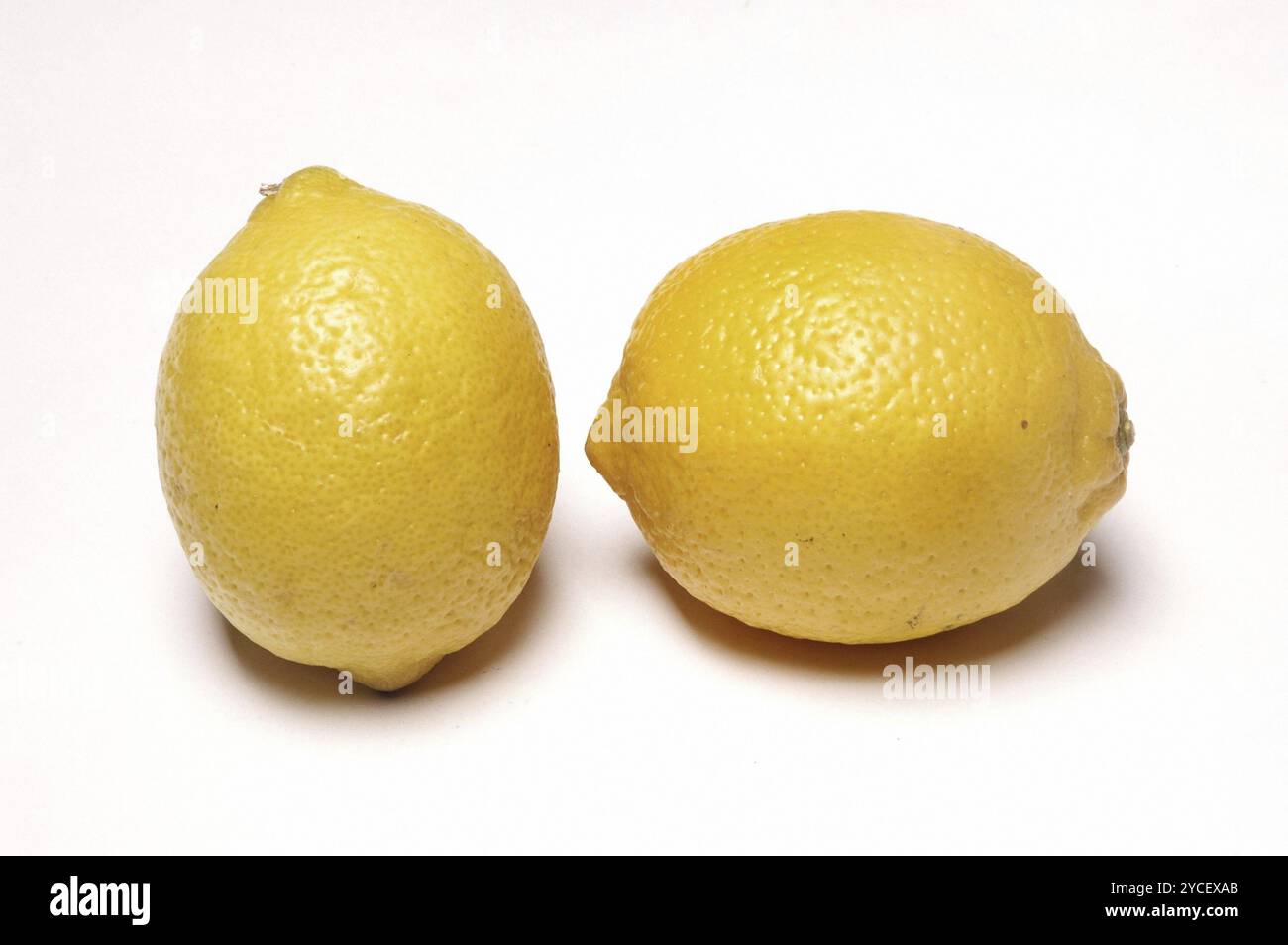 Deux citrons, gros plan sur fond blanc Banque D'Images