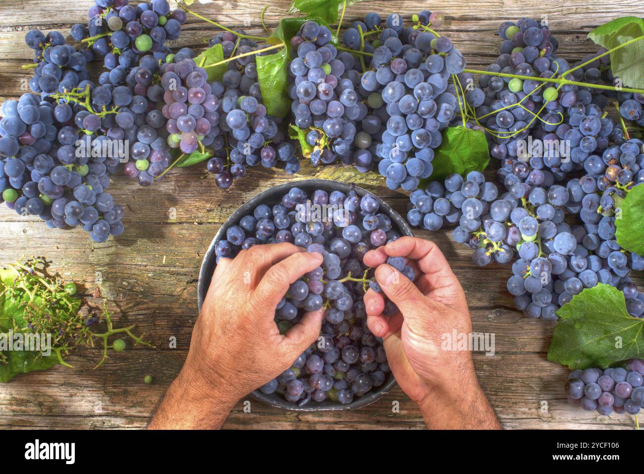 La fin de l'été, préparation de fruits fraise raisin noir Banque D'Images