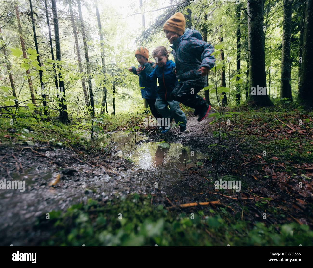 Les enfants dans la forêt Banque D'Images