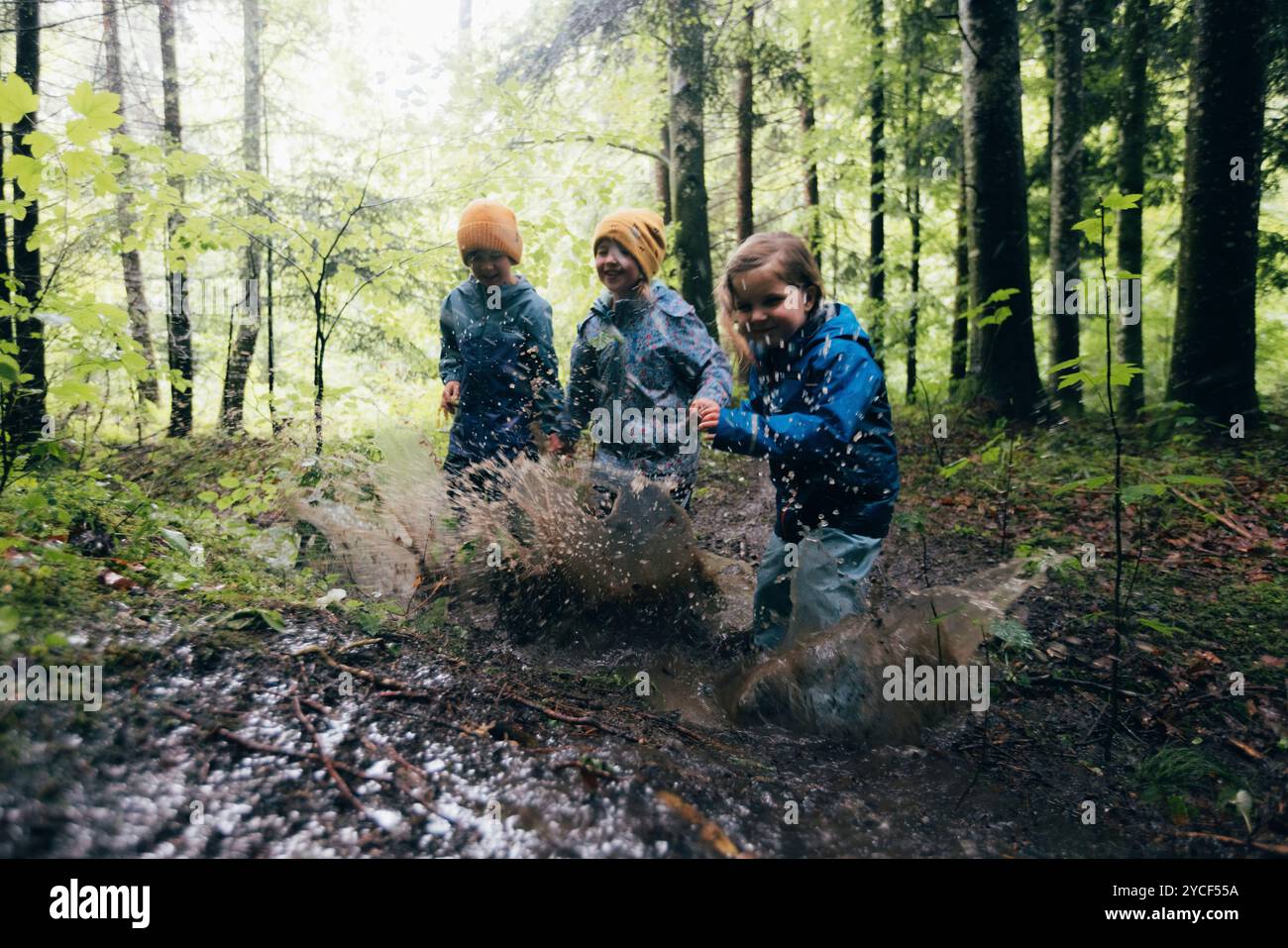 Les enfants dans la forêt Banque D'Images