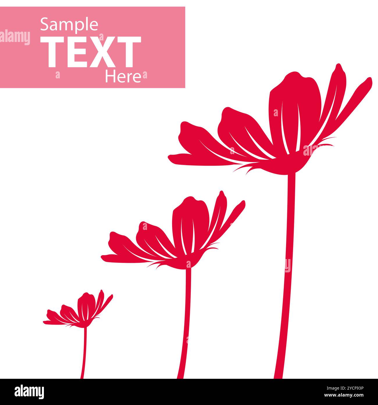 illustration de fleurs vectorielles sur fond isolé Banque D'Images