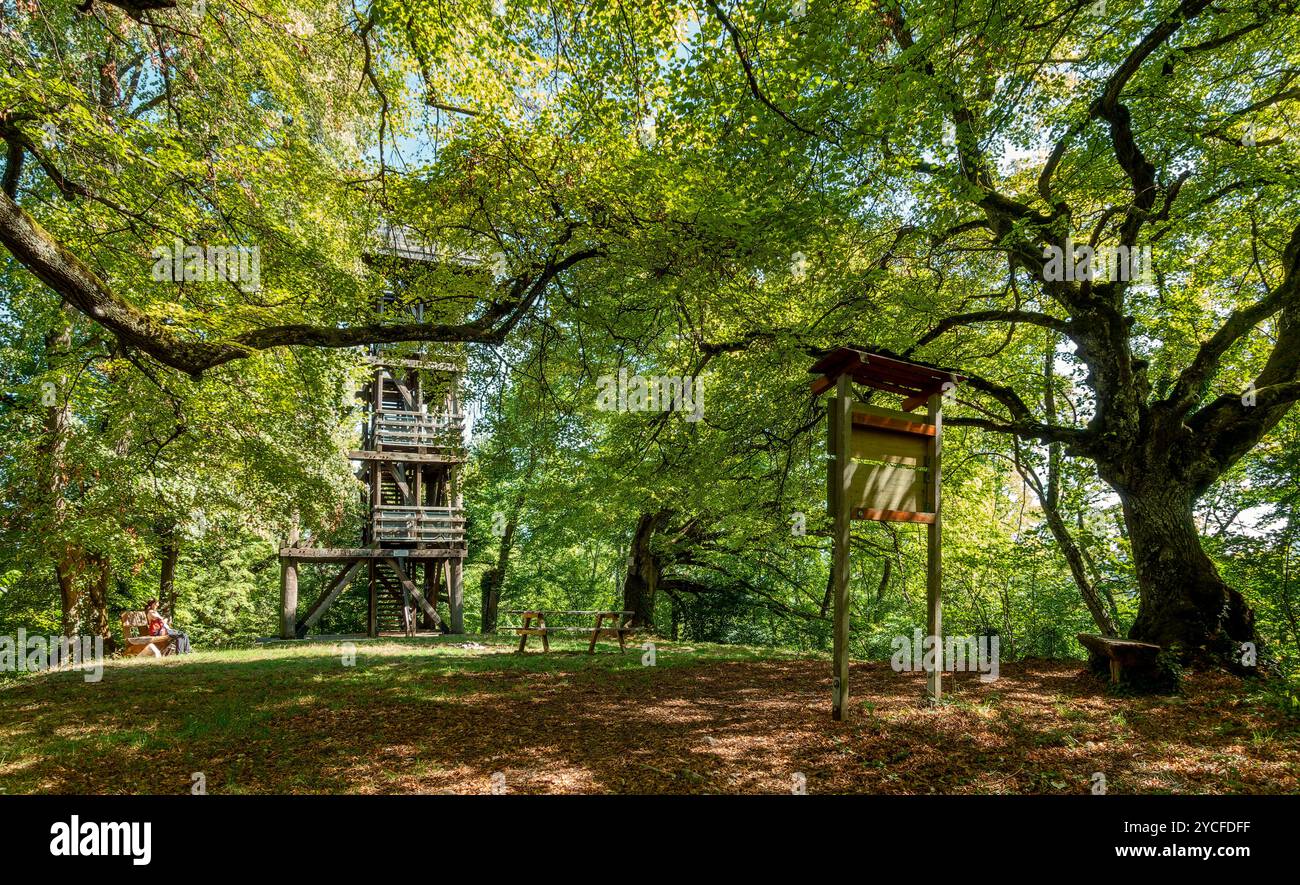 Allemagne, Bade-Württemberg, Reutlingen - Bronnweiler, jusqu'en 1073 il y avait un château (Alteburg) sur la Käpfle de 594 m de haut, depuis 1974 il y a une tour d'observation en bois de douze mètres de haut sur la Käpfle Banque D'Images