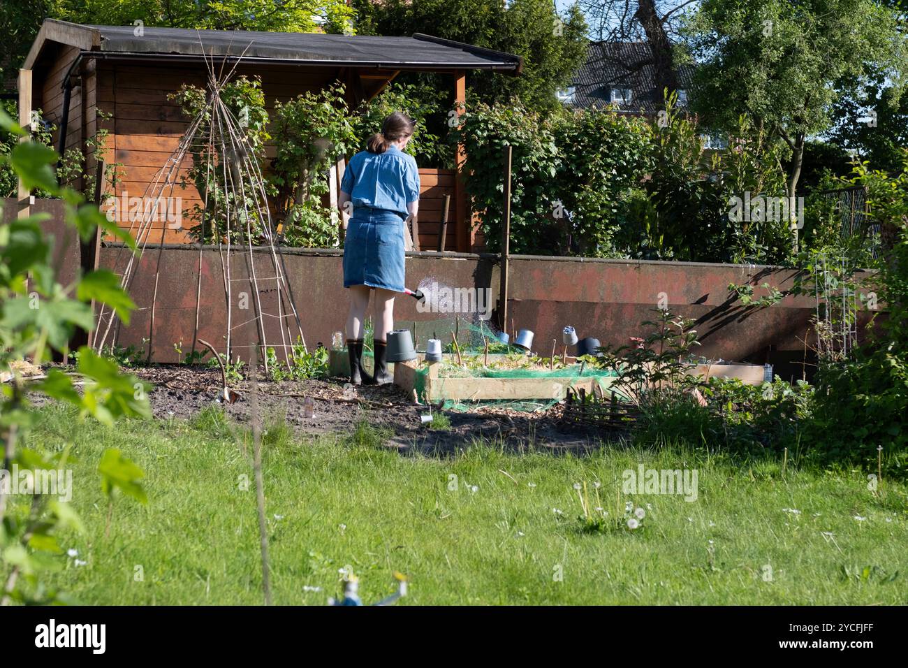 Travailler dans le jardin d'allotissement Banque D'Images