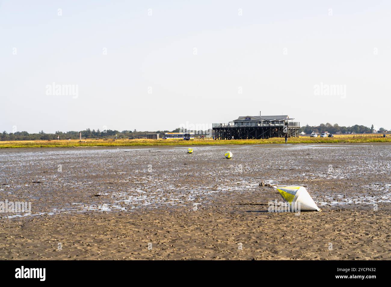 Habitations en pieux dans les marais salants du parc national de la mer des Wadden du Schleswig-Holstein près de Sankt Peter-Ording, Frise du Nord, Schleswig-Holstein, Allemagne Banque D'Images