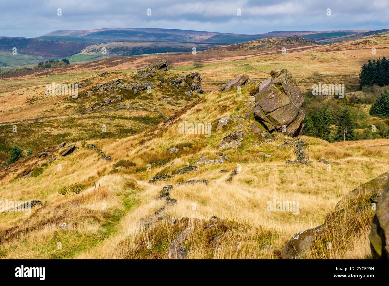 Baldstones sur le Staffordshire Moorlands dans le parc national de Peak District, Royaume-Uni Banque D'Images