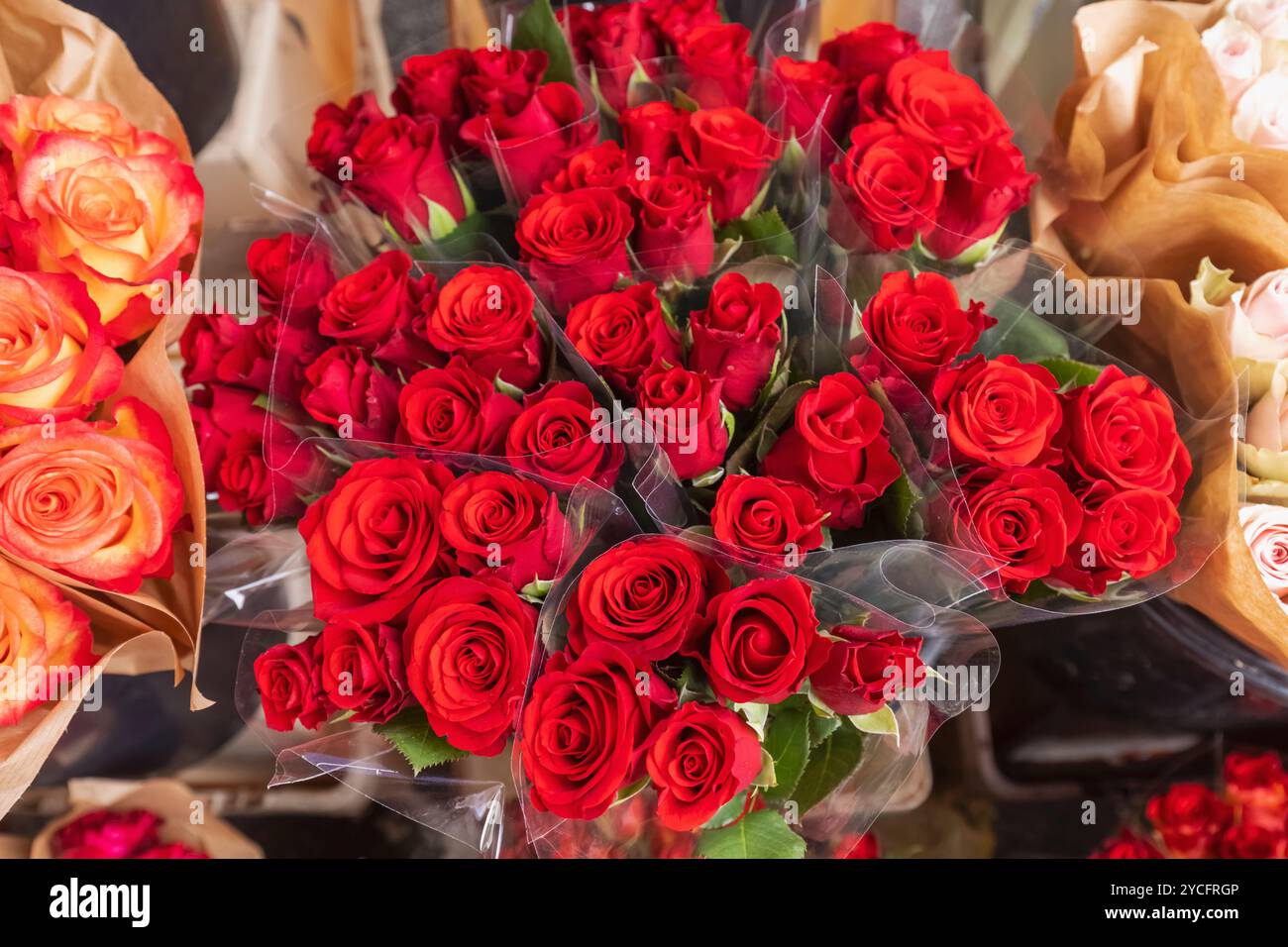 Angleterre, Kent, Deal, Deal samedi Market, bouquets de fleurs fraîches colorées à vendre Banque D'Images
