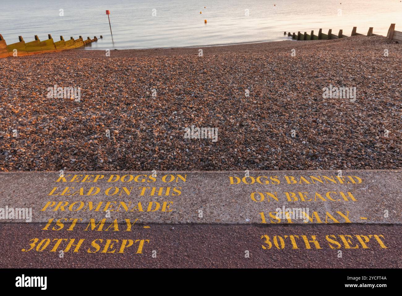 Angleterre, Kent, Herne Bay, panneaux de restriction pour chiens sur plage Banque D'Images
