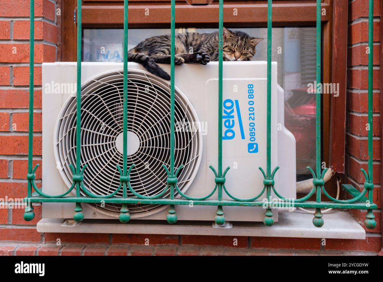 Un chat dormant sur une unité de climatisation, Istanbul, Turquie Banque D'Images