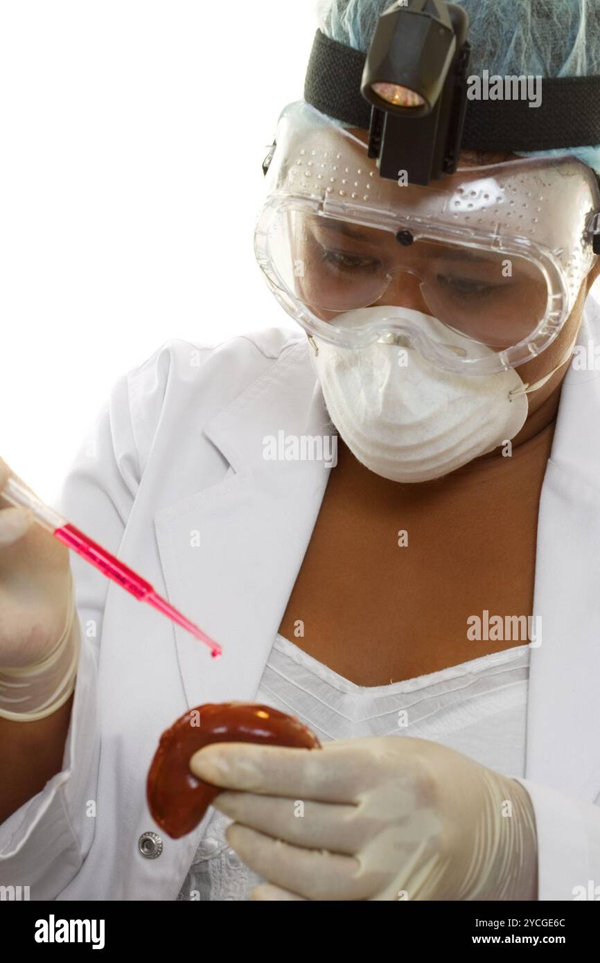 Chercheur en médecine Banque D'Images