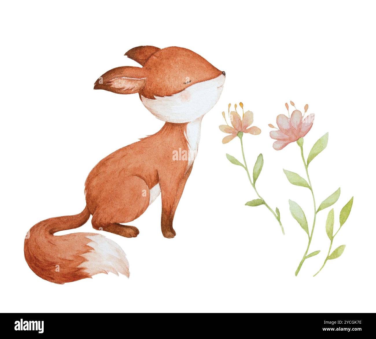 Little Fox Sleeping illustration, Cute Baby Fox Clipart, Baby Forest Animals Clipart, Woodland Fox Clipart, Flower Watercolor Clipart Banque D'Images