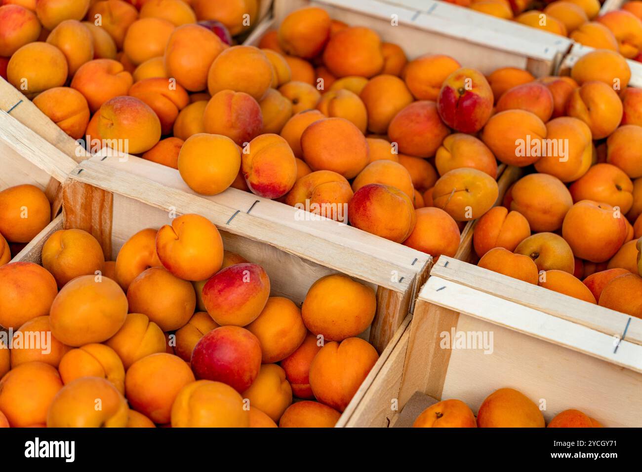 Plans détaillés montrant beaucoup d'abricots frais dans des caisses en bois Banque D'Images