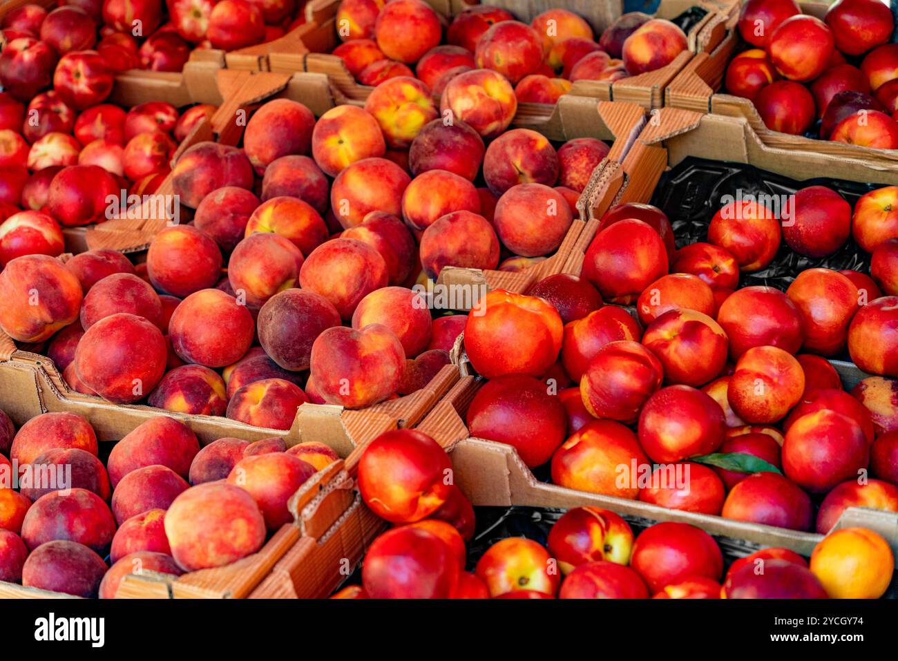 Plans détaillés montrant beaucoup de pêches et nectarines fraîches dans des caisses en carton Banque D'Images