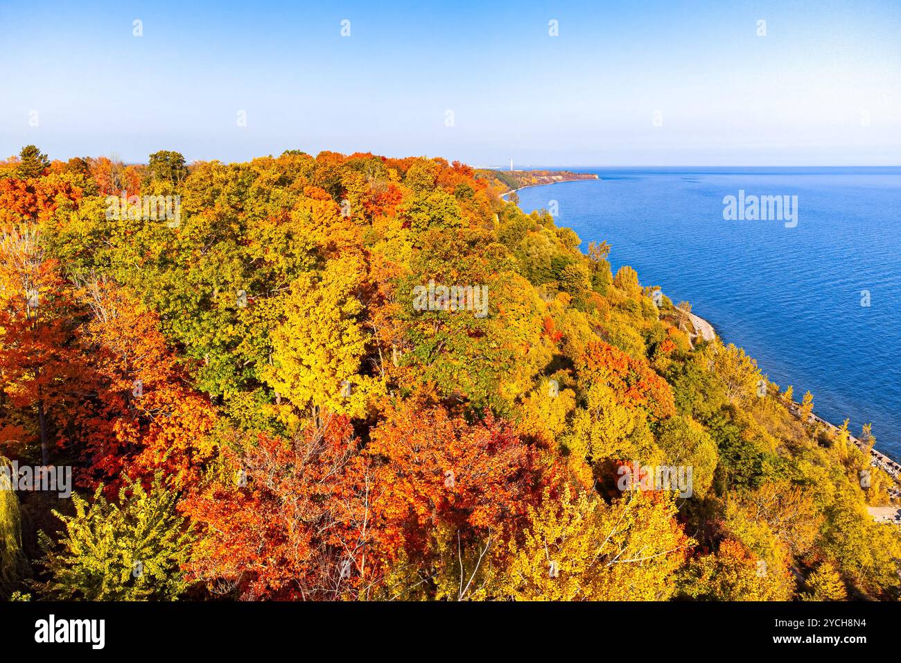 Feuillage automnal luxuriant le long des rives du lac Ontario, vu du point de vue d’un drone. Banque D'Images